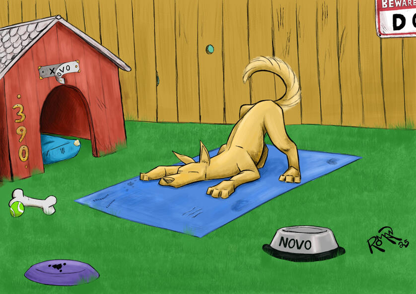Downward Dog Downward Dog